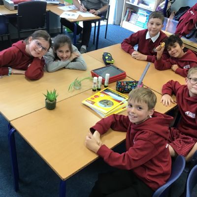 Plantlets in Year 5